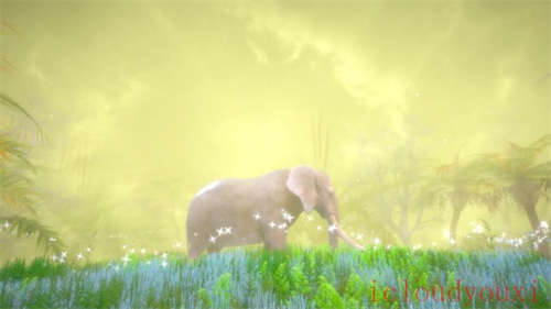 梦幻森林中的隐藏宝藏云游戏截图3