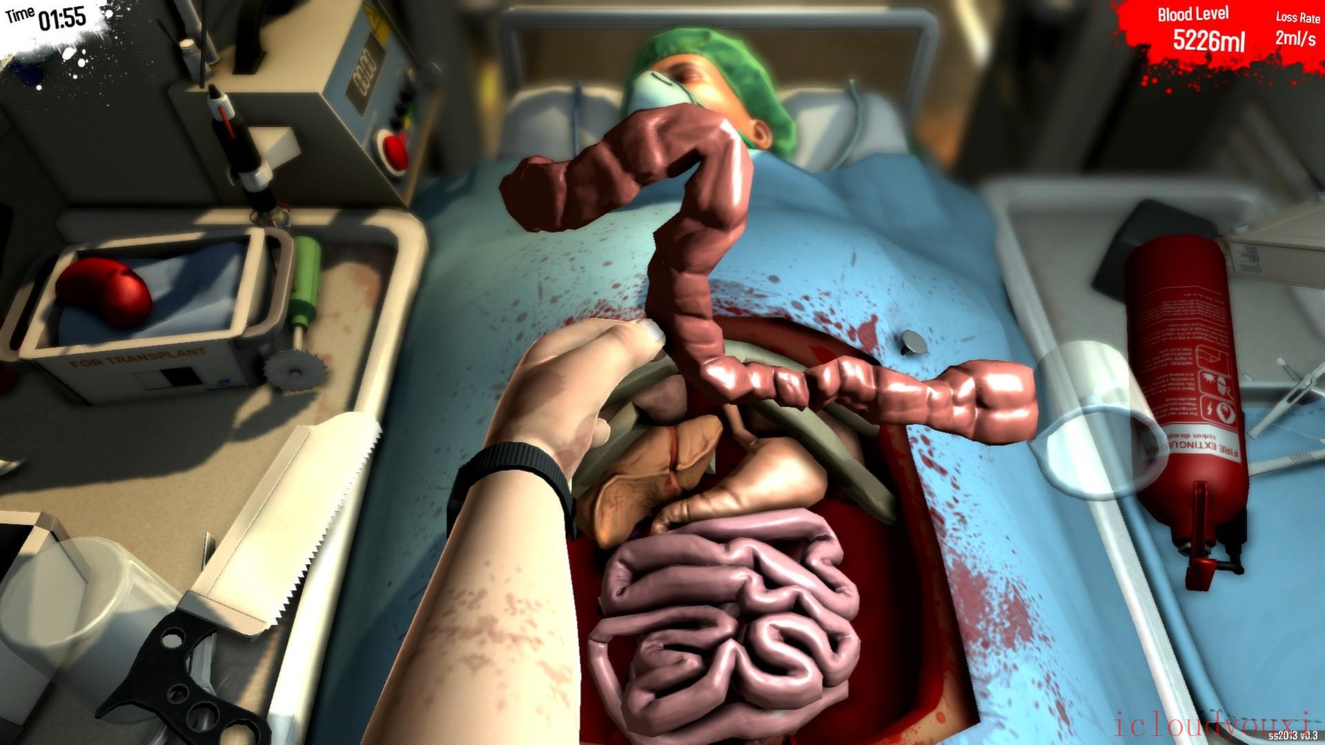 外科模拟2013：周年版云游戏截图2