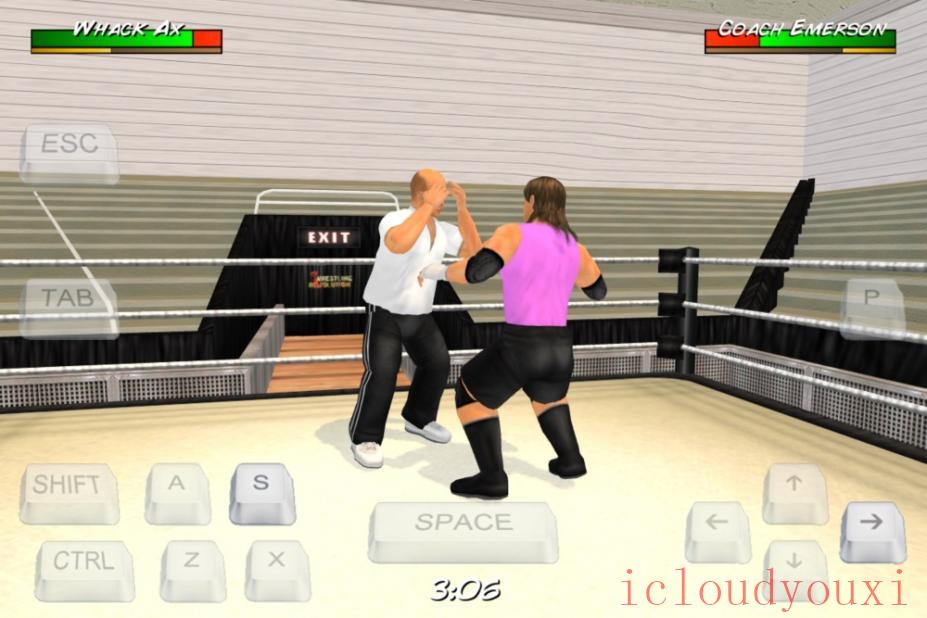 摔跤革命3D云游戏截图3