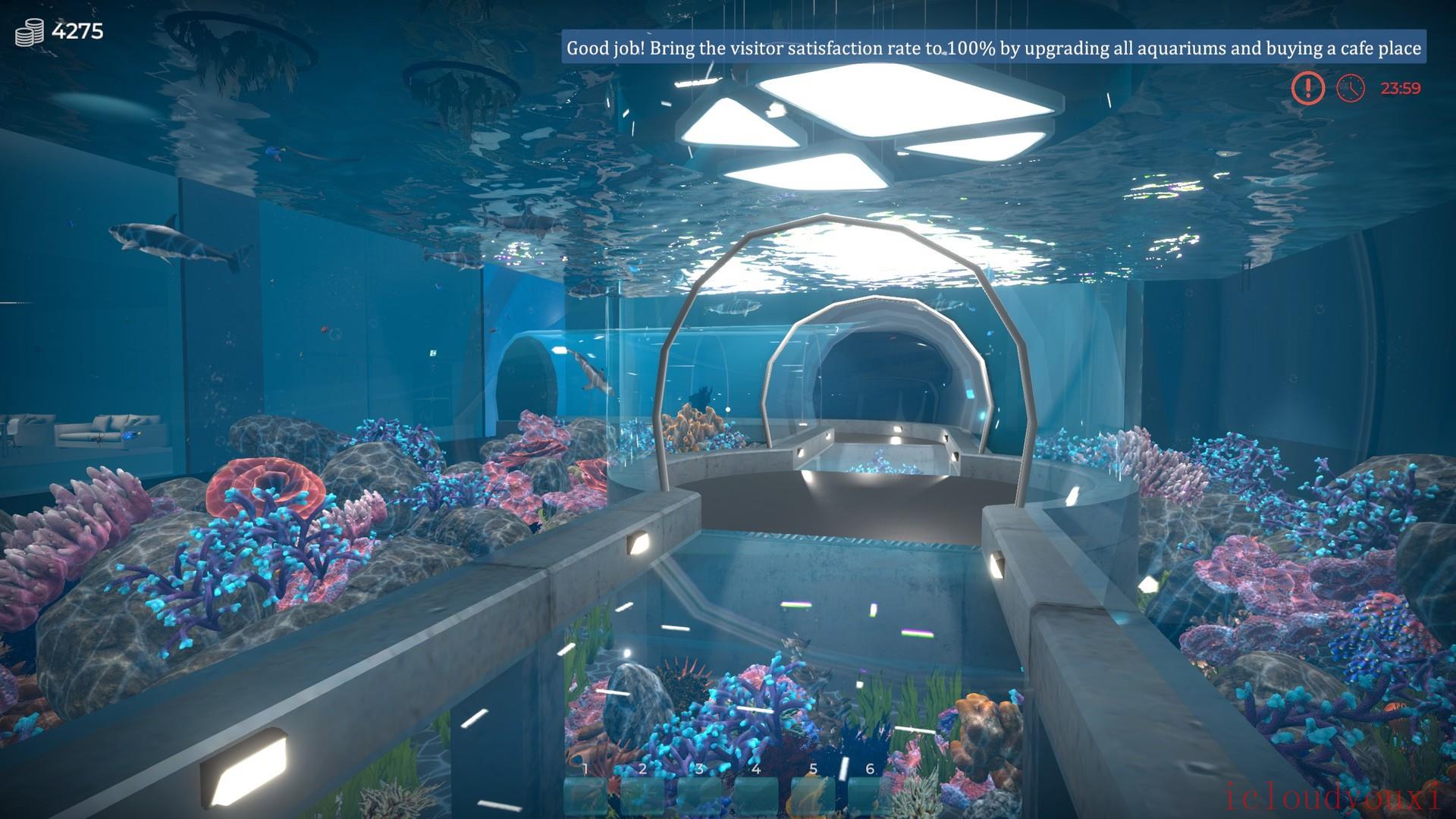 Aquarist-建造水族馆，养鱼，发展你的事业！云游戏截图2