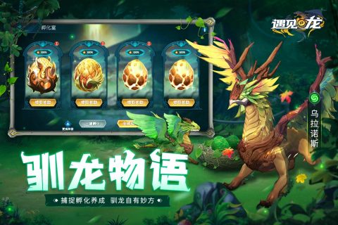 遇见龙云游戏截图2