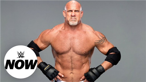 《WWE 2K竞技场》新增10名角色 包含高柏、巴蒂斯塔等(图1)