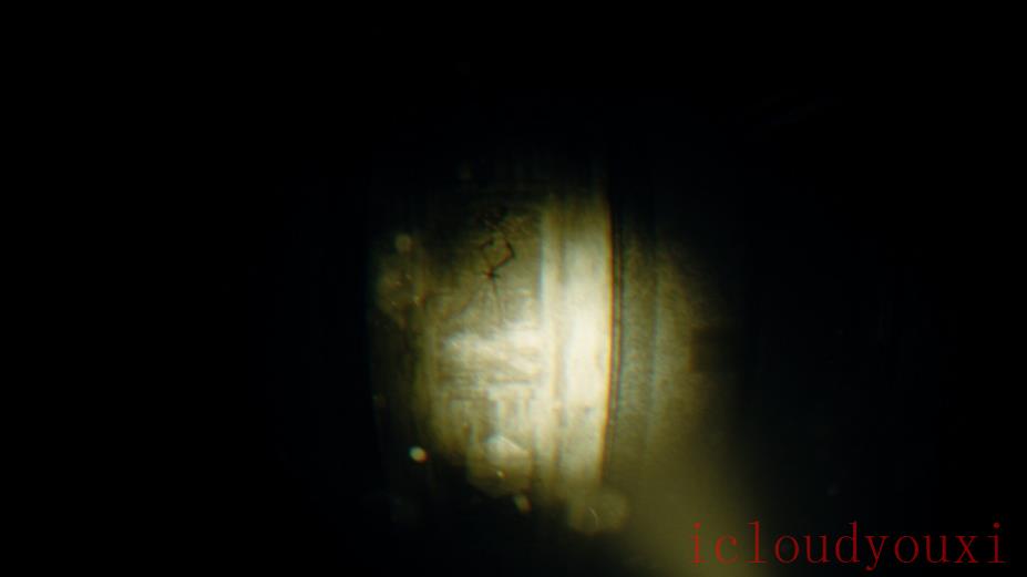 REC:BeyondTheLens云游戏截图3