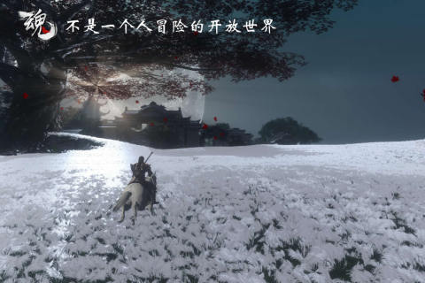 魂之追梦云游戏截图3