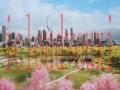 城市：天际线2云游戏截图4