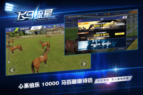 飞马流星云游戏截图4