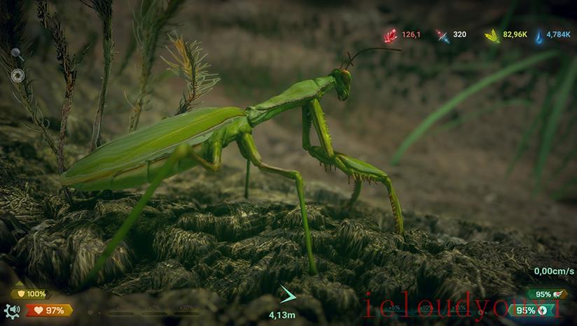 昆虫世界云游戏截图3