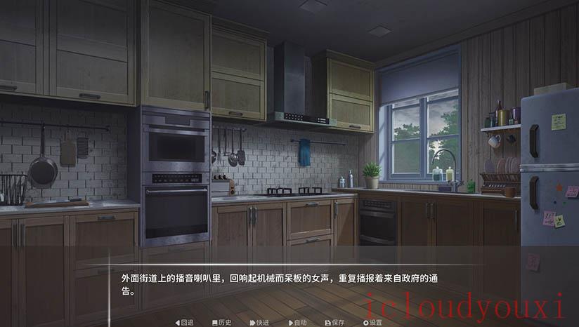 寂夜微光云游戏截图4