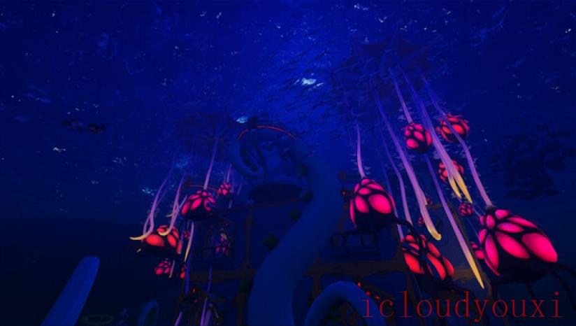 动物海湾云游戏截图4
