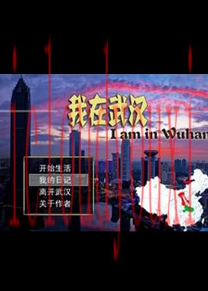 我在武汉
