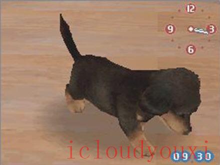 任天狗-腊肠犬和它的朋友游戏截图1