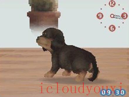 任天狗-腊肠犬和它的朋友游戏截图3