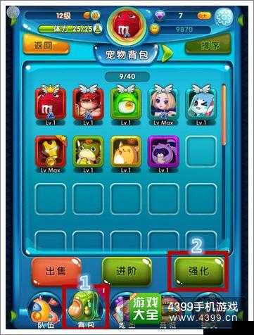 宠物强化攻略:快到碗里来(图1)