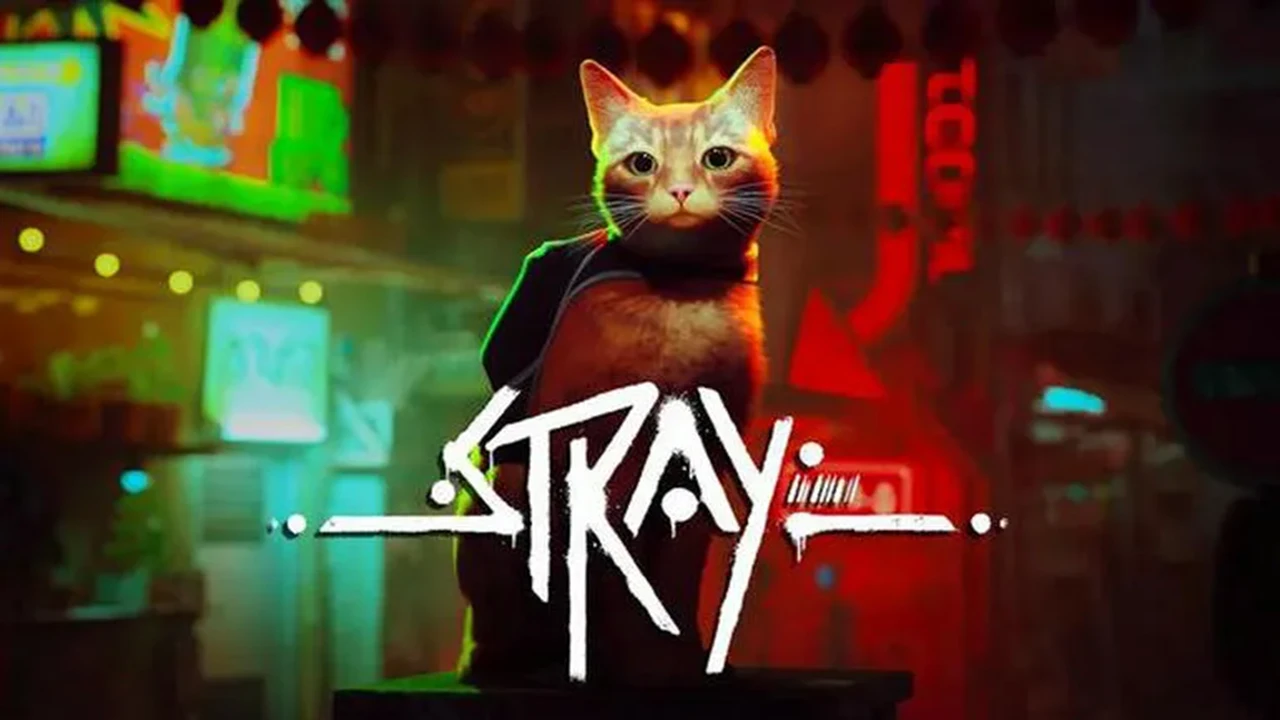 赛博猫:迷失
