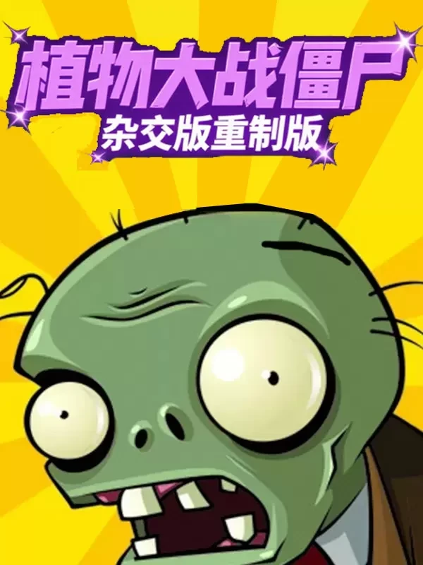 实机视频