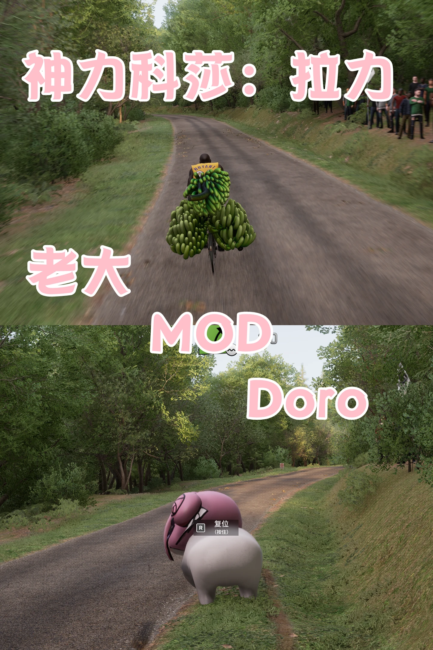实机视频